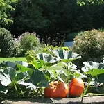 Chateau La Cheneviere Port-en-Bessin-Huppain