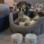 Chateau La Cheneviere Port-en-Bessin-Huppain