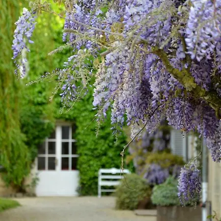 호텔 Chateau La Cheneviere