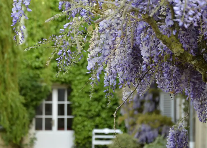 Chateau La Cheneviere Hotel