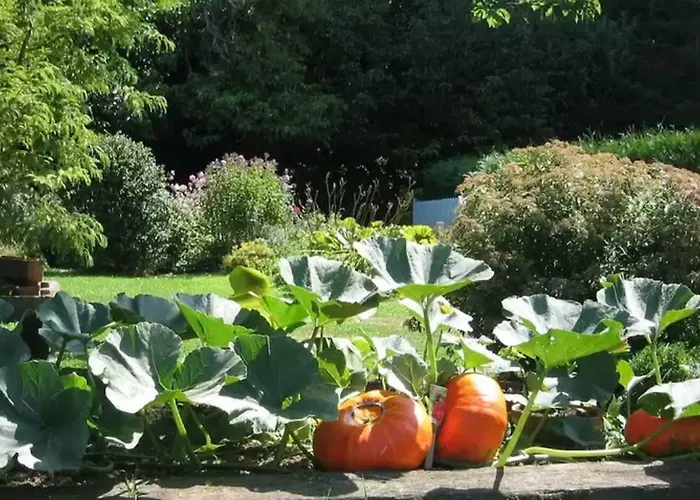 Chateau La Cheneviere ポール・アン・ベッサン・ユパン