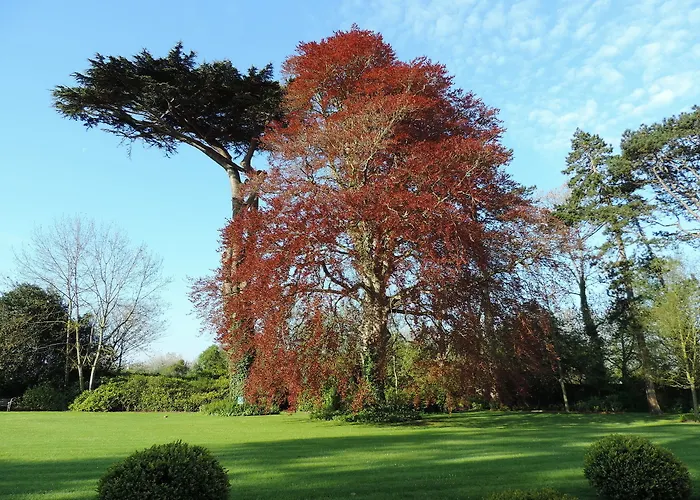 Chateau La Cheneviere ポール・アン・ベッサン・ユパン