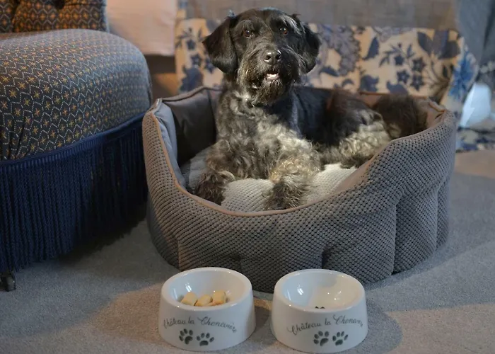 Chateau La Cheneviere Port-en-Bessin-Huppain