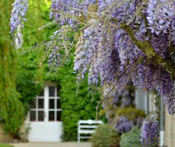 Hotel Chateau La Cheneviere